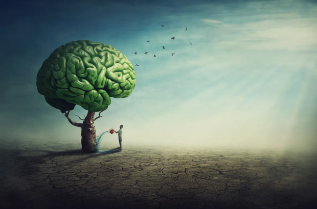 Neurotypes: Nature Loads the Gun, Environment Pulls the Trigger