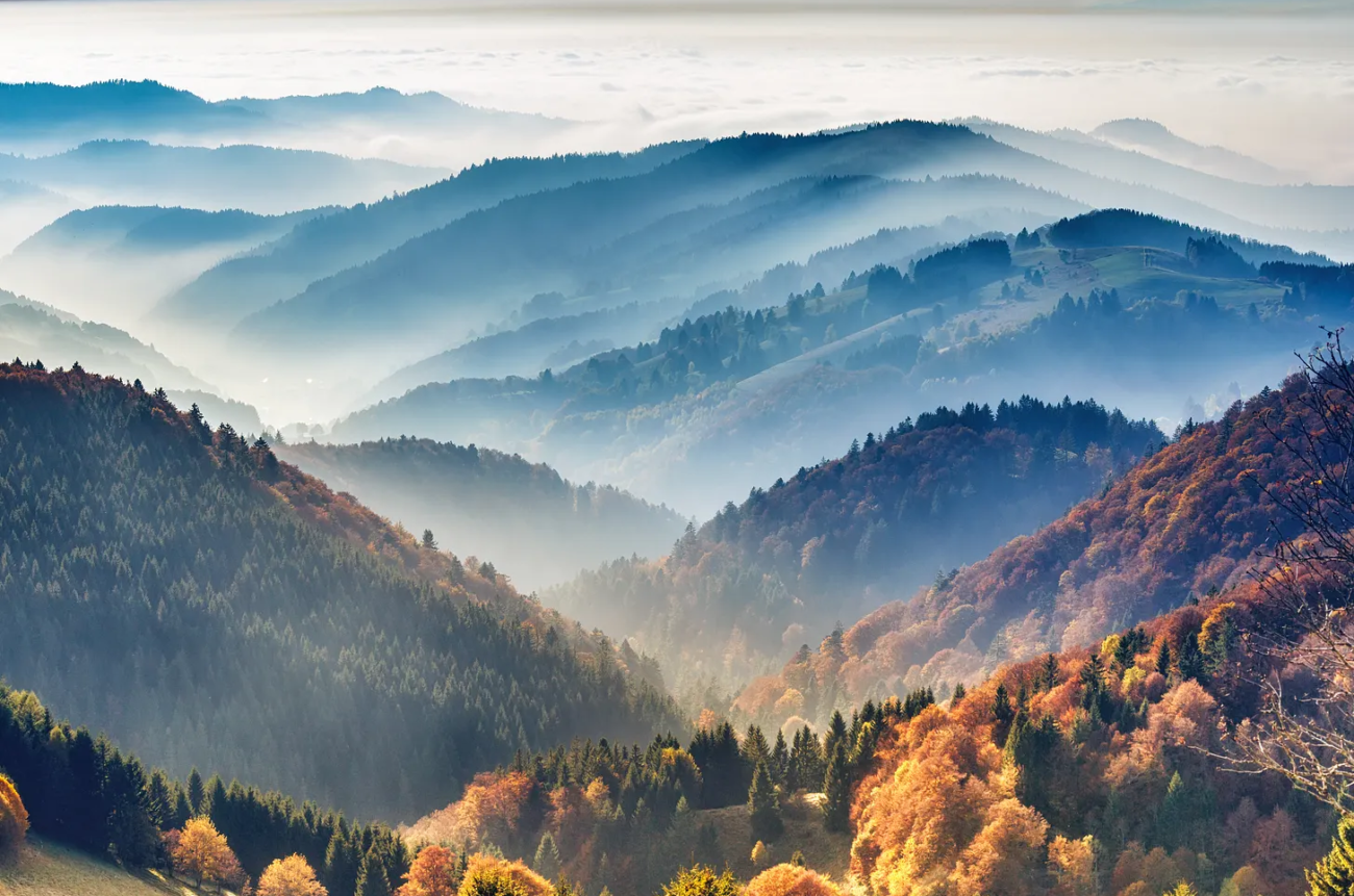 Neurodiversity, Epigenetics, and the Power of the Environment. Part 1